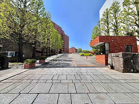 緑豊かな静かな住環境。自然を感じながら生活できる環境です。