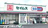 周辺：セイムス春日部備後東店 580m