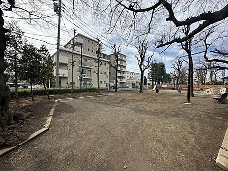 板橋区立上板富士公園まで約60m 徒歩1分