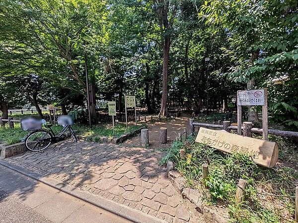 周辺を拡大表示