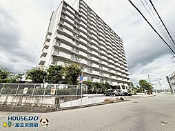 万葉ハイツ東加古川 15F