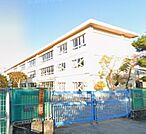 茅ヶ崎市立浜須賀小学校（452m）
