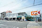 OK（オーケー） 伊勢原店（696m）