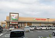 ヨークフーズ秦野緑町店（708m）