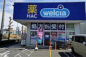 ハックドラッグ 藤沢遠藤店（1036m）