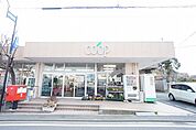ユーコープ 中原店（691m）