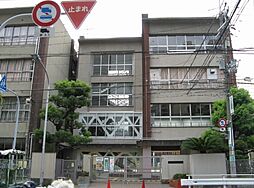 M、hills西本町 10階