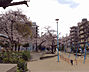 周辺：公園「寺田町公園まで336m」