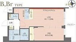 プレジオ塚本ASIAN 1LDKの間取図画像