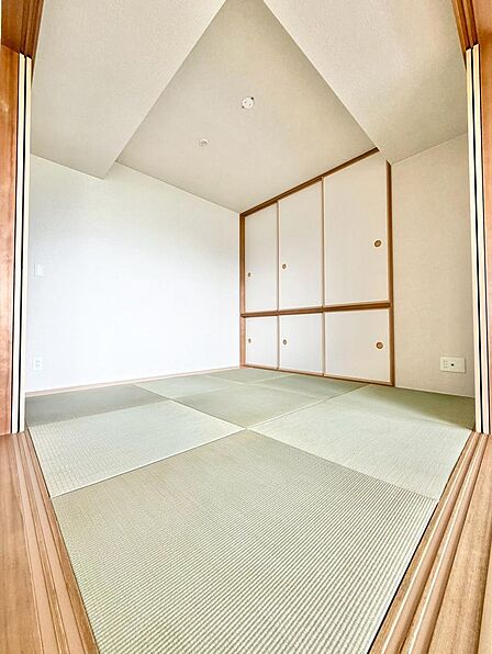 室内(2026年7月)撮影