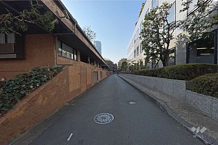 敷地西側の前面道路(北側から)