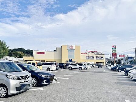 徒歩14分。ヨークフーズ新柏店 1100m