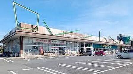 ドラッグセイムス柏あけぼの店 徒歩14分。 1050m