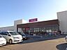 周辺：イオン上磯店 1000m