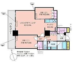 阿波座ライズタワーズフラッグ46 2LDKの間取図画像