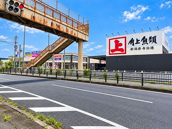 周辺を拡大表示