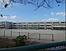 周辺：松戸市立根木内小学校 徒歩13分。 1000m