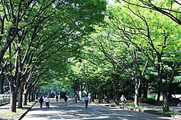 [周辺] 都立駒沢公園（1200m）