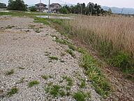 新潟県佐渡市立野(金井)：物件画像