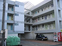 スプリングフラット 213