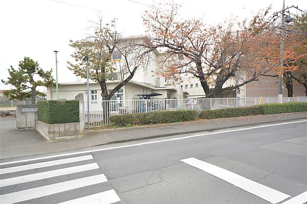 画像5:桜木中学校(180m)