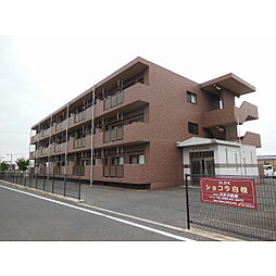 ショコラ白枝
