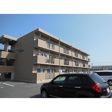 ジュエル白枝_トップ画像