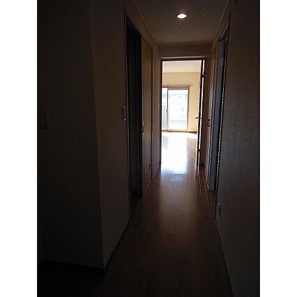 ジュエル白枝_その他_3