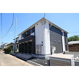 sakura（サクラ） 201