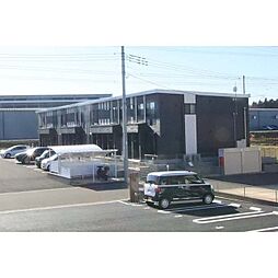 irie life(アイリーライフ）