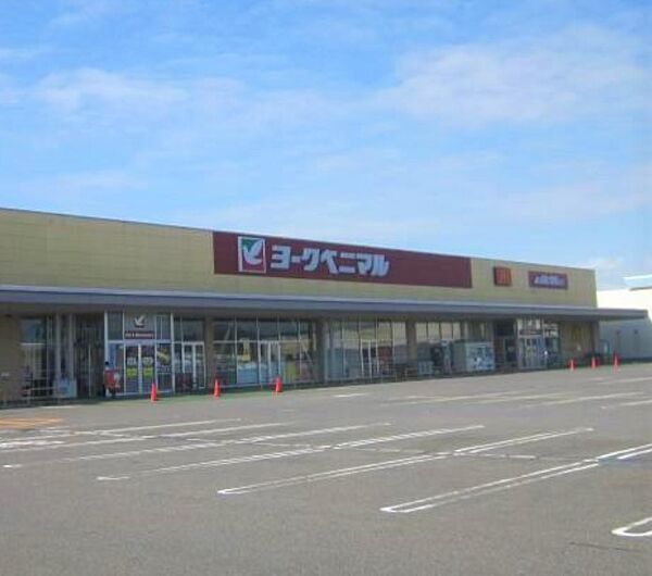 画像18:【スーパー】ヨークベニマル千代田モール店まで1012ｍ
