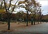 周辺：【公園】竹園公園まで665ｍ