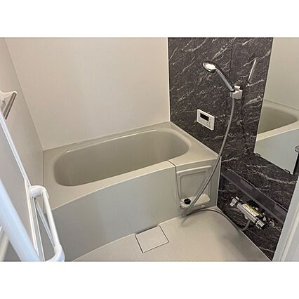 ポンテアルコバレーノ_その他_0