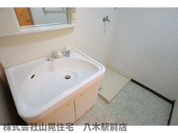 画像4:ゆったりとスペースのある洗面所
