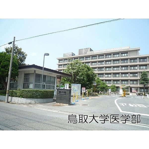 画像17:役所「米子市役所まで591ｍ」鳥取大学医学部