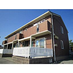 スタンチュリー 101