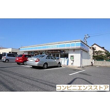 パルロソウ_周辺_2