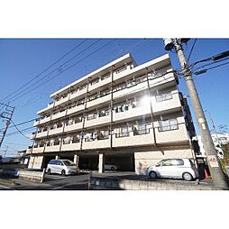 森のコート綿貫