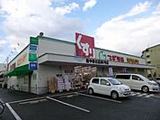 スギ薬局豊中春日店 581m