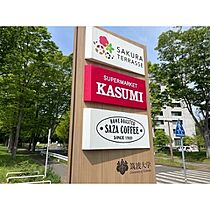 ドミール桜井  ｜ 茨城県つくば市天久保3丁目（賃貸マンション1K・4階・25.91㎡） その28