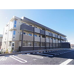 ゼピュロス学園の森　M