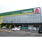 ヤマダ電機