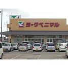 ヨークベニマル