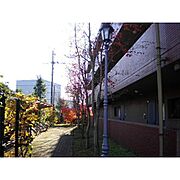 敷地内