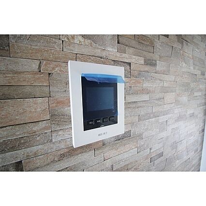 ルイ・フローラ_その他_1