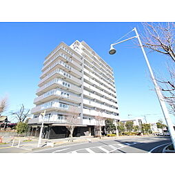 レクセルプラザ守谷