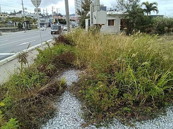 を拡大表示