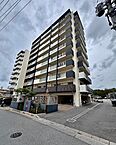 沖縄県名護市為又904番地：物件画像／株式会社紫興業