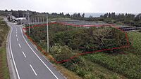 沖縄県国頭郡本部町瀬底4466番地：物件画像
