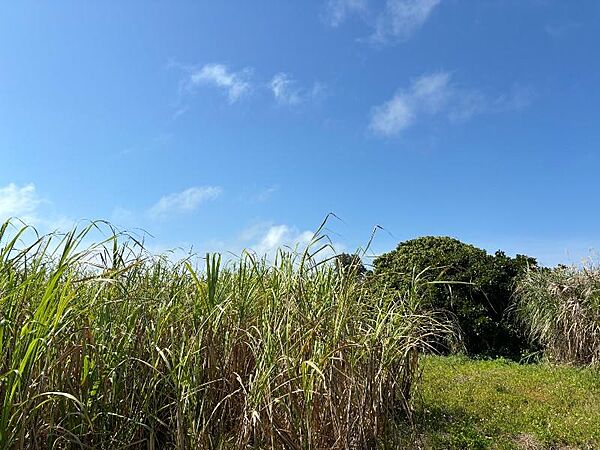 を拡大表示